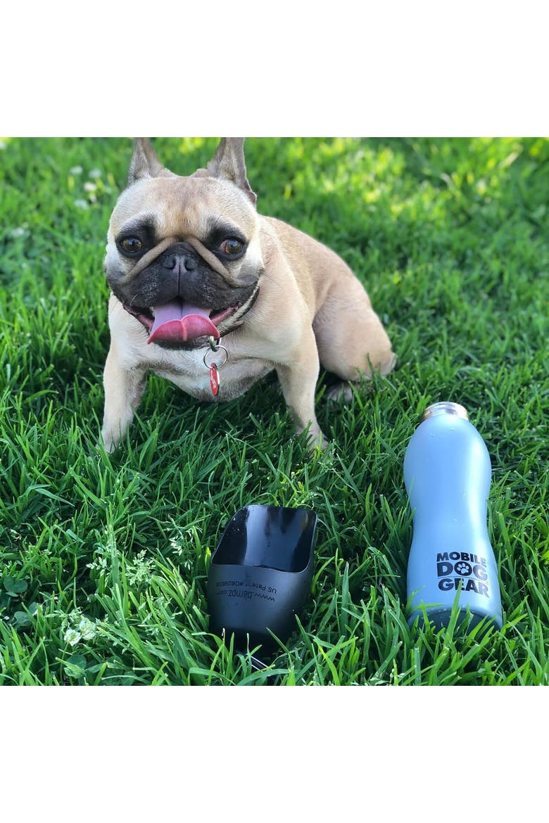 Stainless Steel Dog Water Bottle, Alternate, color, Black