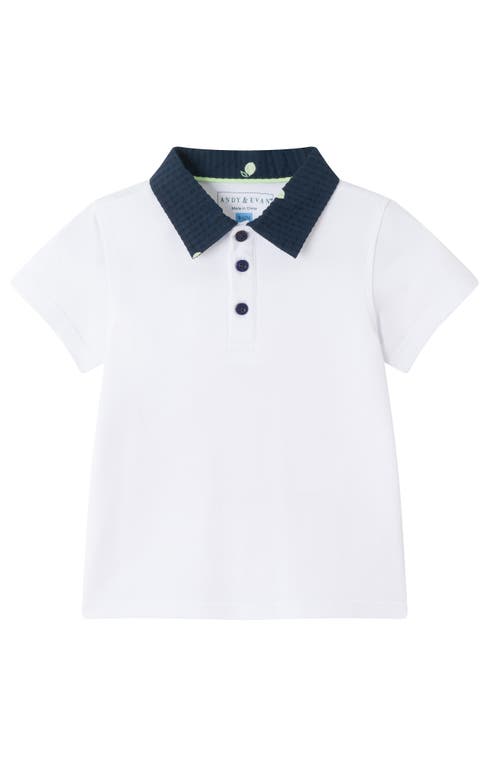 Andy & Evan Tipped Polo & Seersucker Shorts Set In White