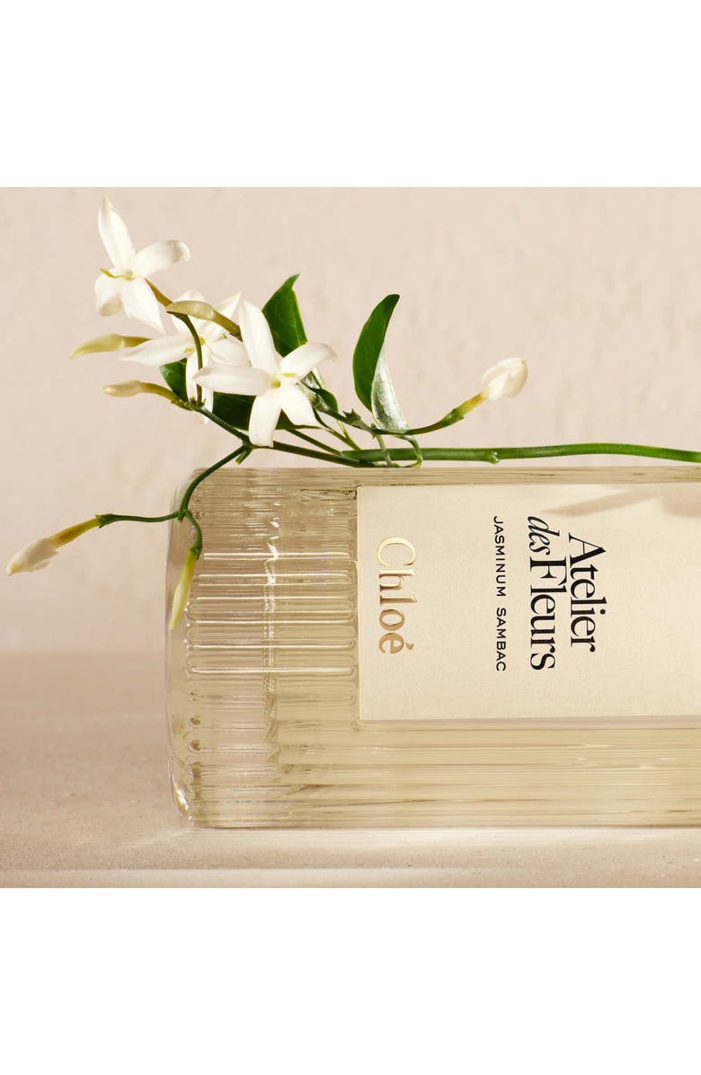 Chloé Atelier des Fleurs Fragrance Sample Set, Alternate, color, 