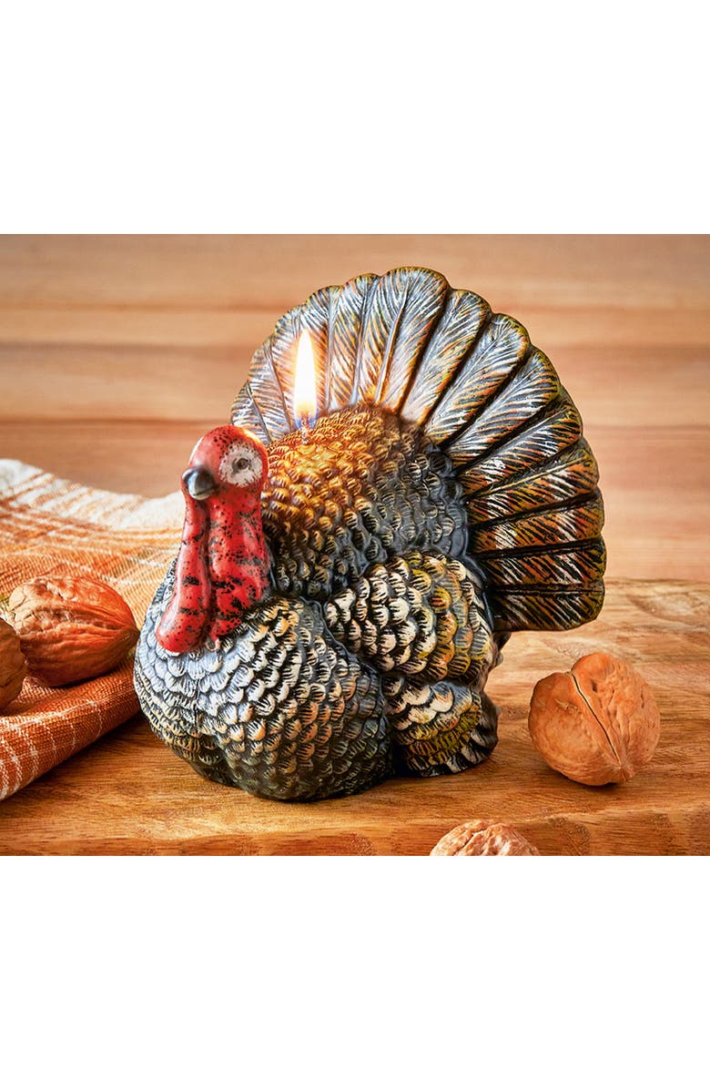 tag Teddy Turkey Candle - Thanksgiving Decor Multicolor Wax, Alternate, color,
