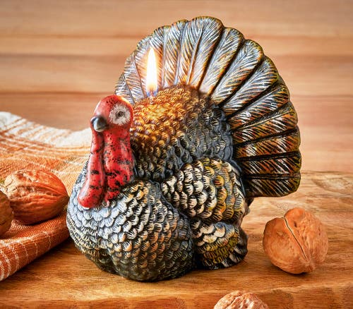 Tag Teddy Turkey Candle In Multi