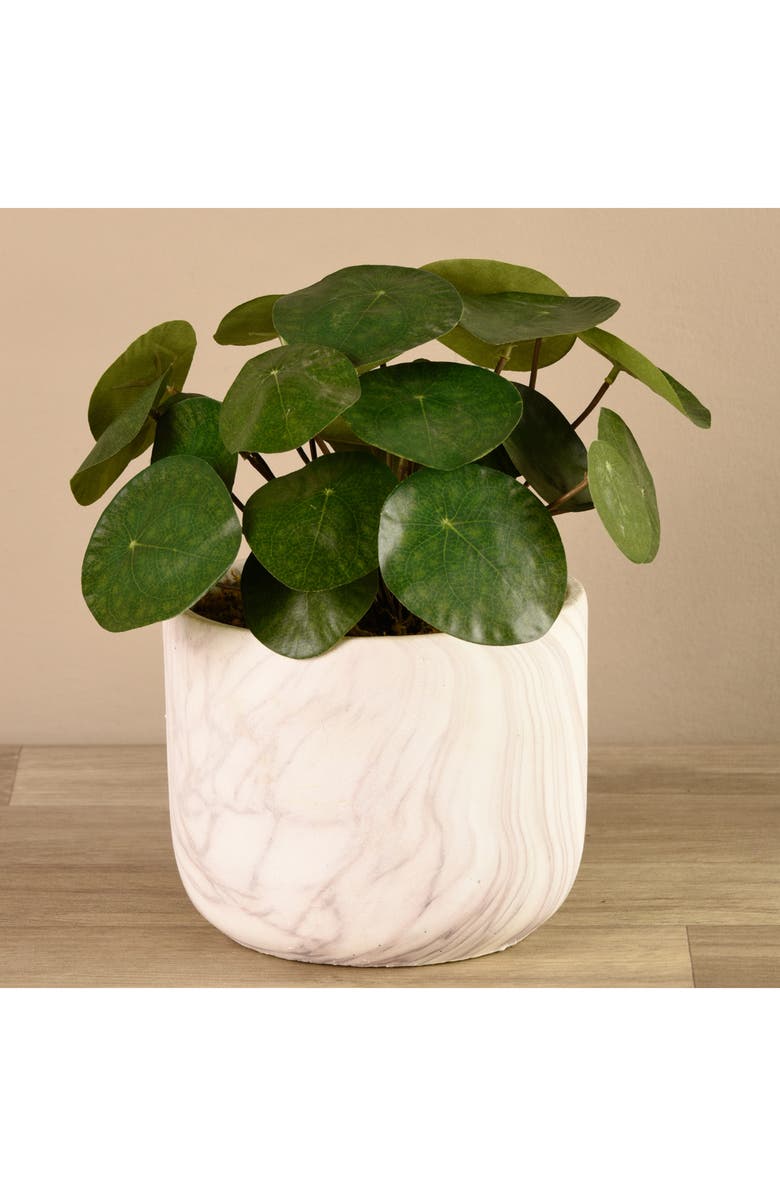 Bloomr Potted Pancake Plant Planter Decoration, Alternate, color, 