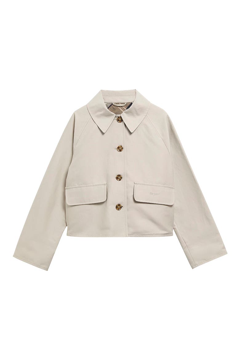 Delilah Showerproof Jacket, Alternate, color, MIST/ BIRCHWOOD DRESS