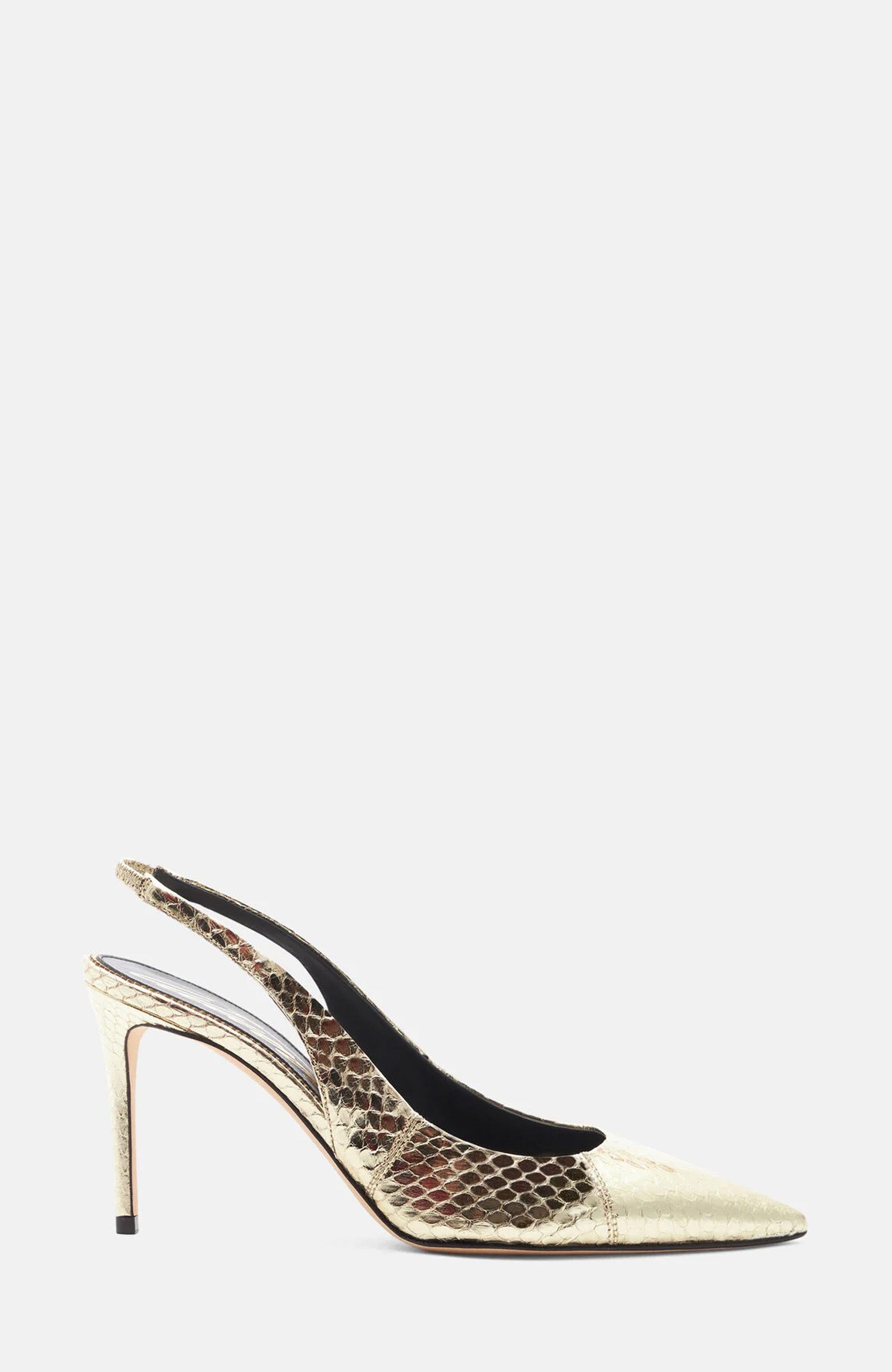 Gold - Elaphe