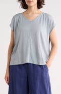 Eileen Fisher V-Neck Organic Linen T-Shirt