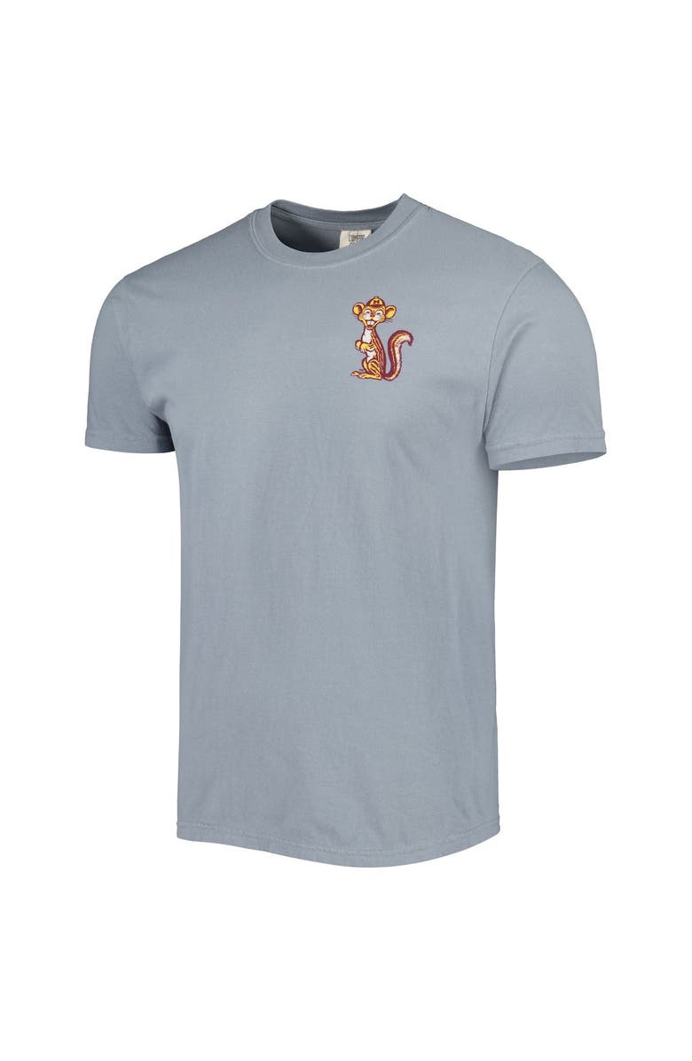 IMAGE ONE Men's Graphite Minnesota Golden Gophers Vault State Comfort T-Shirt, Alternate, color, 