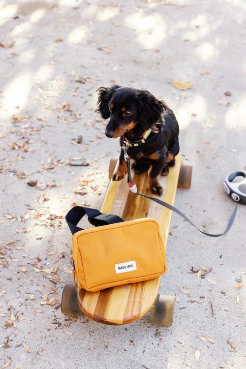 Made Free Hip Pack Waistpack In Burnt Orange