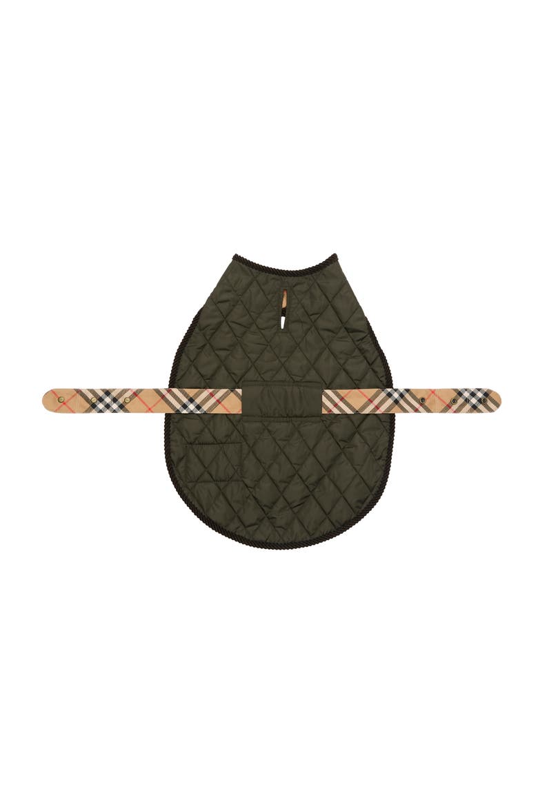 Quilted Nylon Dog Coat, Main, color, Shale green