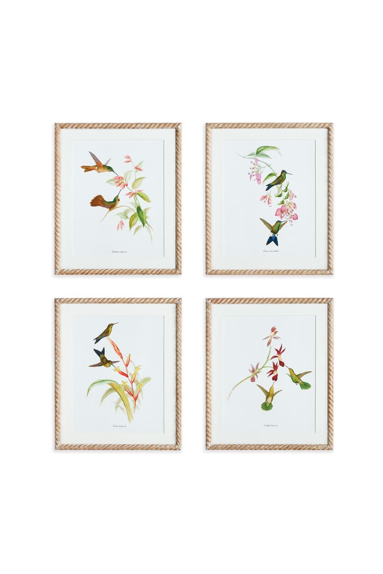 Playful Hummingbird Prints Set of 4, Main, color, Green