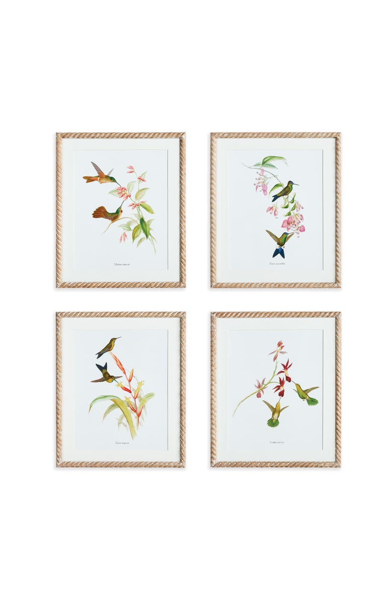 Napa Home & Garden Playful Hummingbird Prints Set of 4, Main, color, 