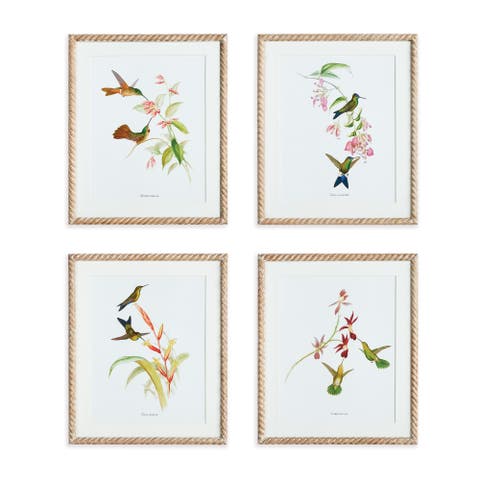 Playful Hummingbird Prints Set of 4