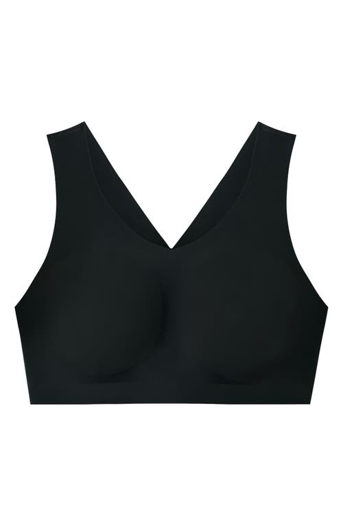 Evelyn & Bobbie Defy Wireless Bra In Black