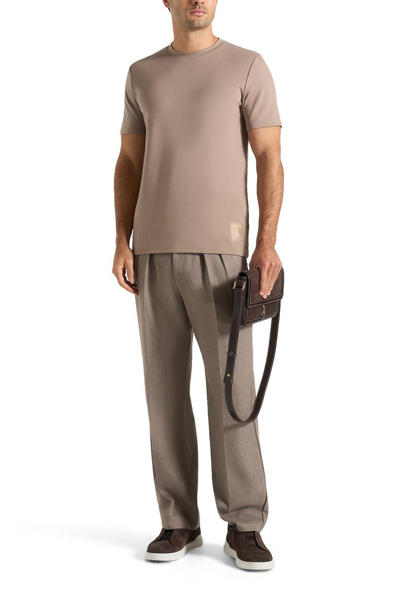 Regular Fit Cotton T-Shirt, Alternate, color, Taupe