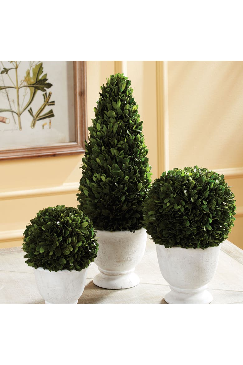 Boxwood Cone Topiary In Pot, Alternate, color, Green