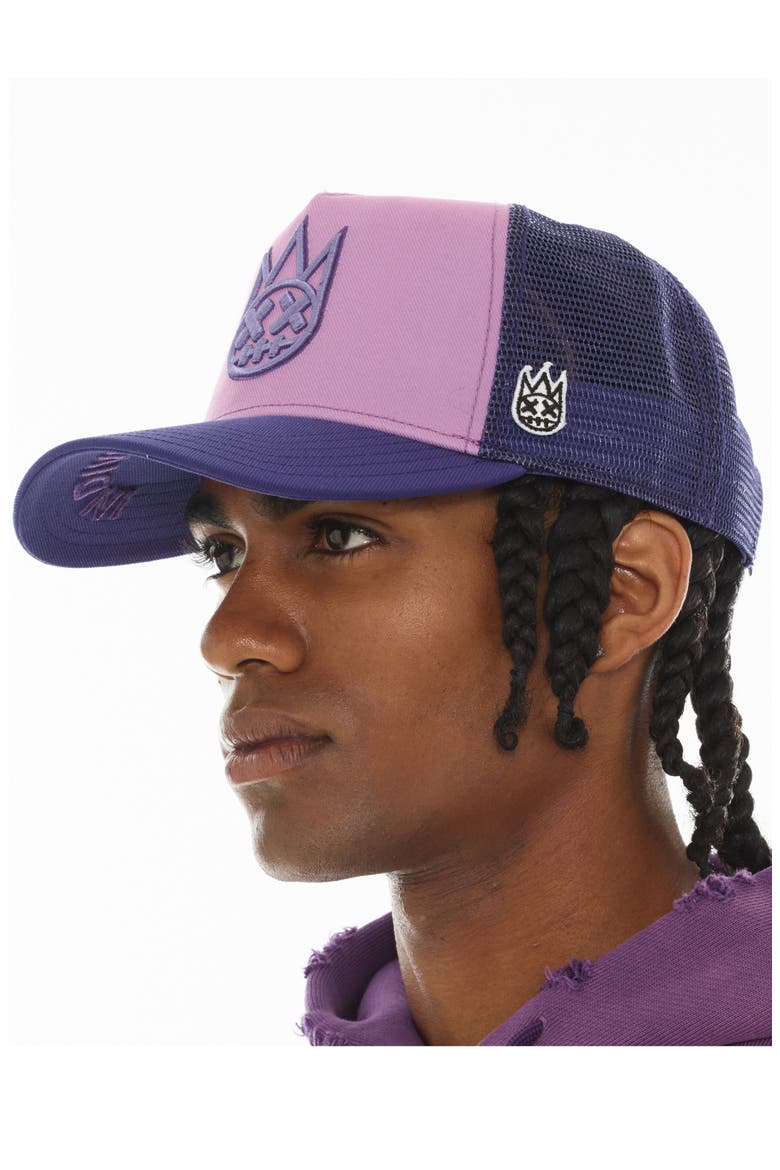 Shimuchan Logo Colorblock Trucker Hat, Alternate, color, DUSTY LAVENDER