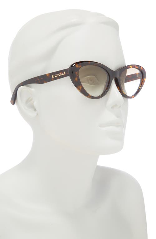 Gucci 54mm Core Cat Eye Sunglasses In Havana Havana Brown