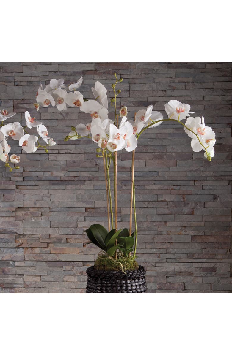 Napa Home & Garden Phalaenopsis Orchid Faux (Fake) Drop-In 31", Alternate, color, White