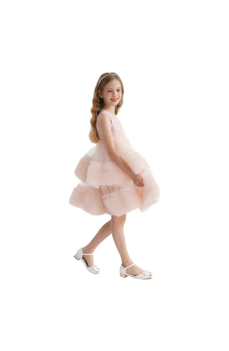 Tulleen Sweetberry Dress, Alternate, color,