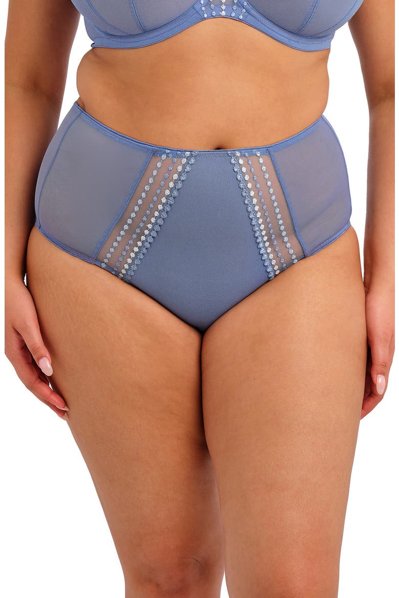 Matilda Full Figure Embellished Briefs, Main, color, LUNAR BLUE