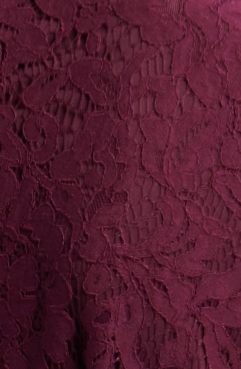 Anne Klein Lace Long Sleeve Tiered Shirtdress, Alternate, color, Dark Chianti