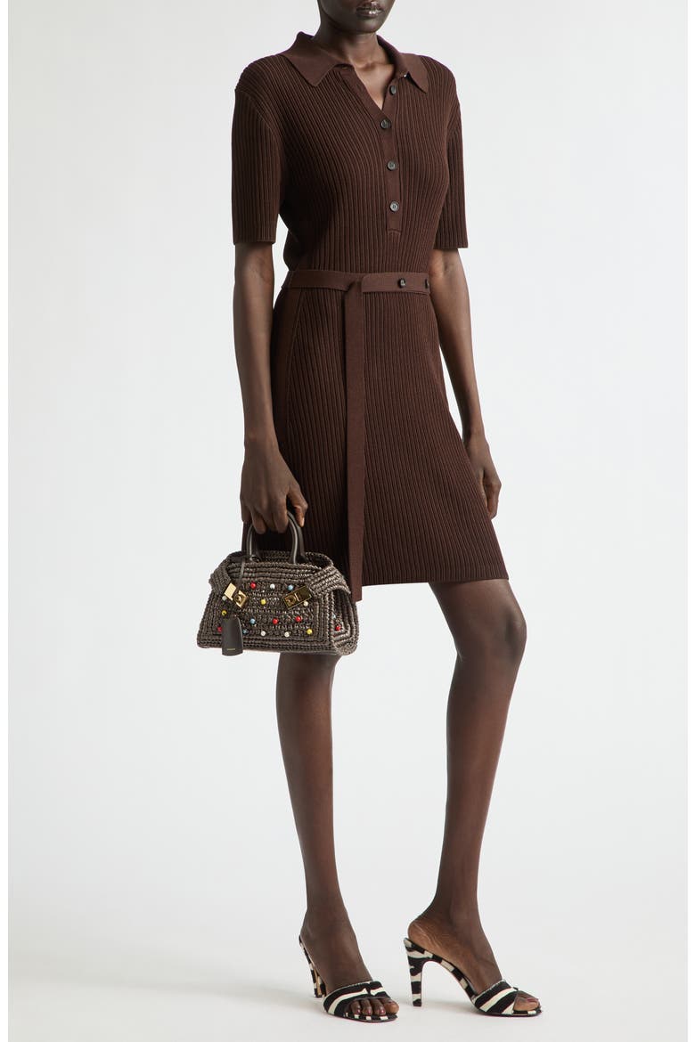 Rib Polo Dress, Alternate, color, EXPRESSO