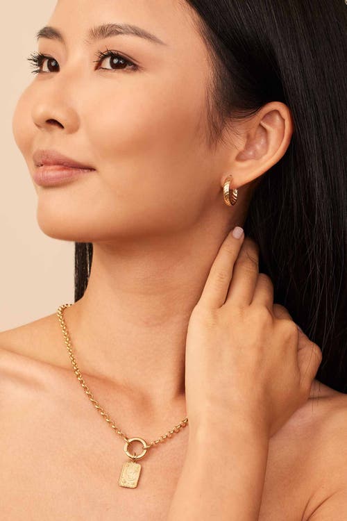 Oradina 14k Gold Cobra Hoops Earrings In Yellow Gold