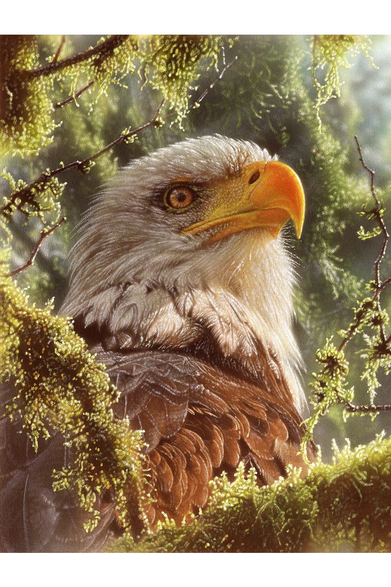 High and Mighty 1000 piece Jigsaw Puzzle for Adults, Alternate, color, Multicolor