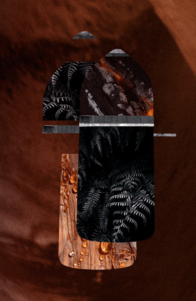 Cartier Pasha de Cartier Noir Absolu, Alternate, color, Regular