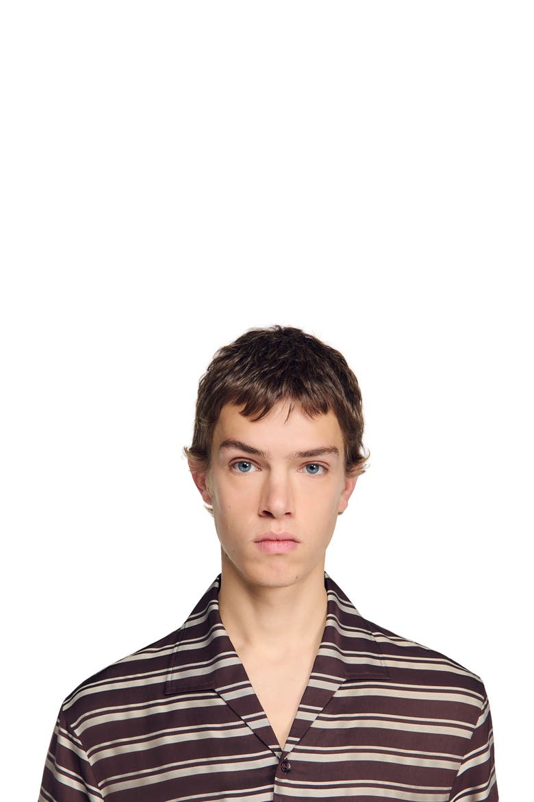 Striped boat neck shirt, Alternate, color, Chocolate