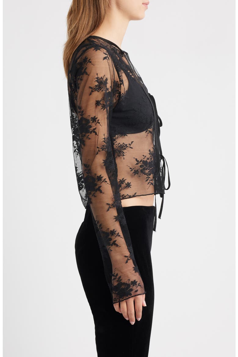 Camille Velvet Trim Sheer Crop Top, Alternate, color, BLACK LACE