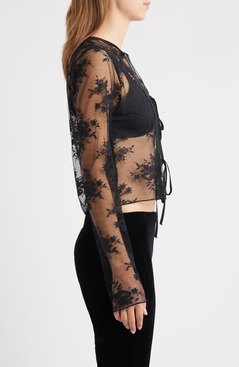 Bella Venice Camille Velvet Trim Sheer Crop Top, Alternate, color, Black Lace