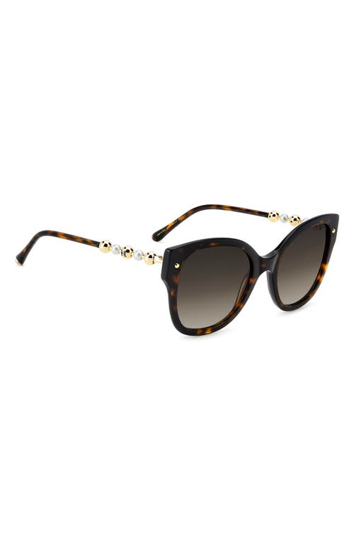 Carolina Herrera 55mm Gradient Butterfly Sunglasses In Havana/brown Sf