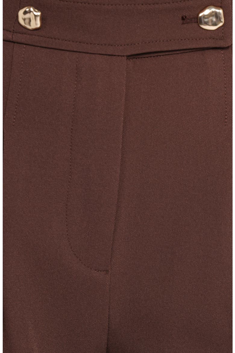 Corfu Pleat Front Wide Leg Pants, Alternate, color, BROWN