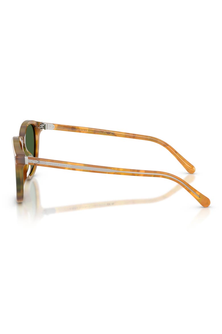 53mm Phantos Sunglasses, Alternate, color, TORTOISE BROWN / BOTTLE GREEN