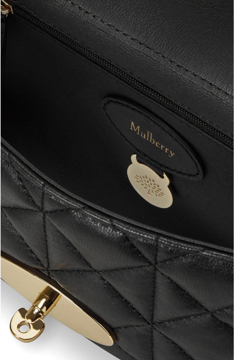 Mulberry Lily, Alternate, color,