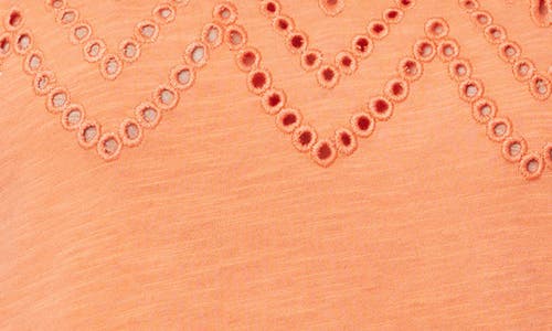 Curve Appeal Eyelet Embroidered T-shirt In Coral Quartz
