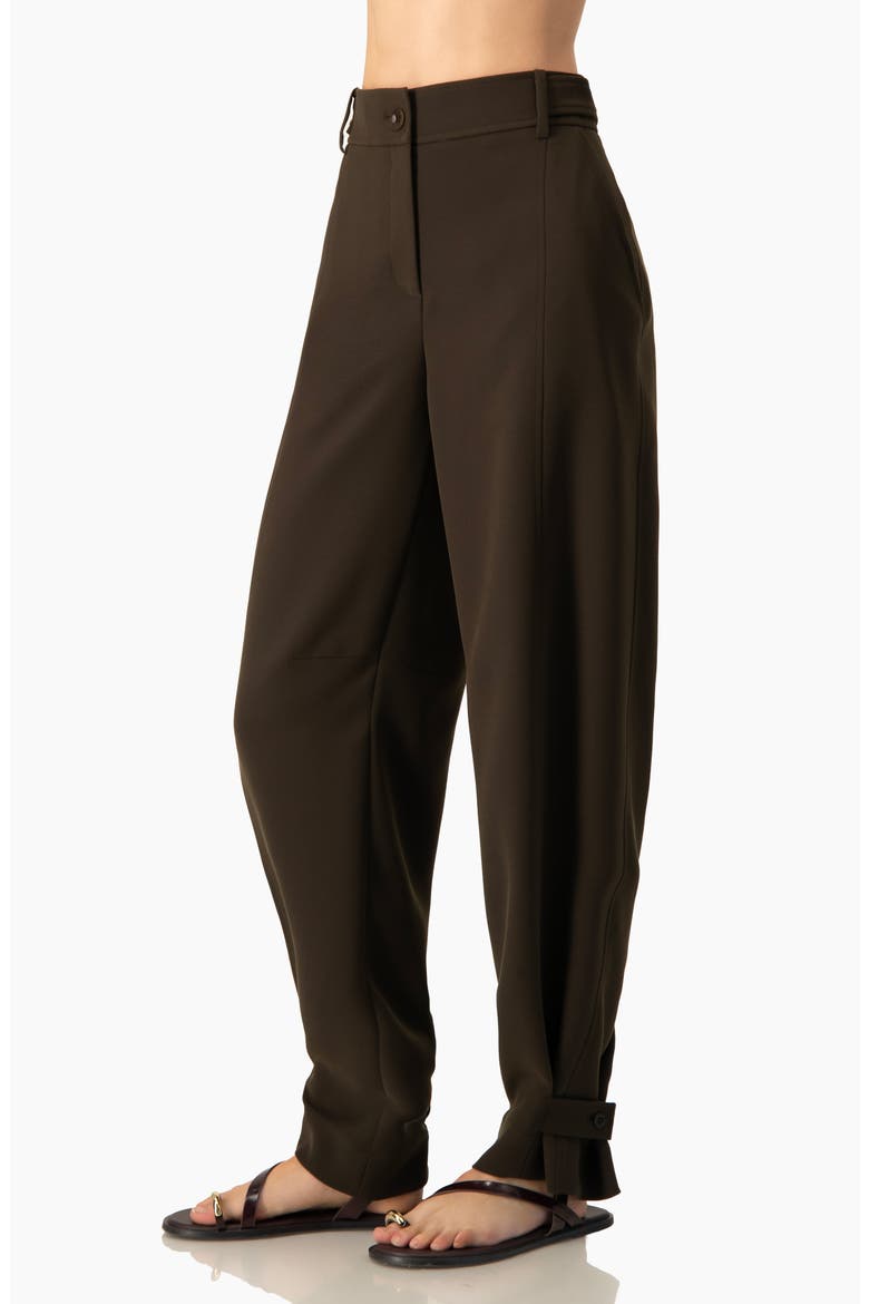Tapered Cuff Utility Relaxed Pants with High-Waist and Ankle Straps, Alternate, color, Brown