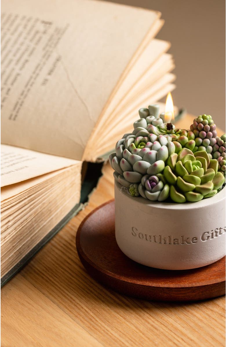 Southlake gifts Succulent Candle in Concrete Vessel, Alternate, color, Jade / Lilac / Sage