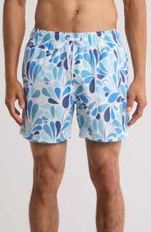 Vintage Summer Volley Swim Shorts