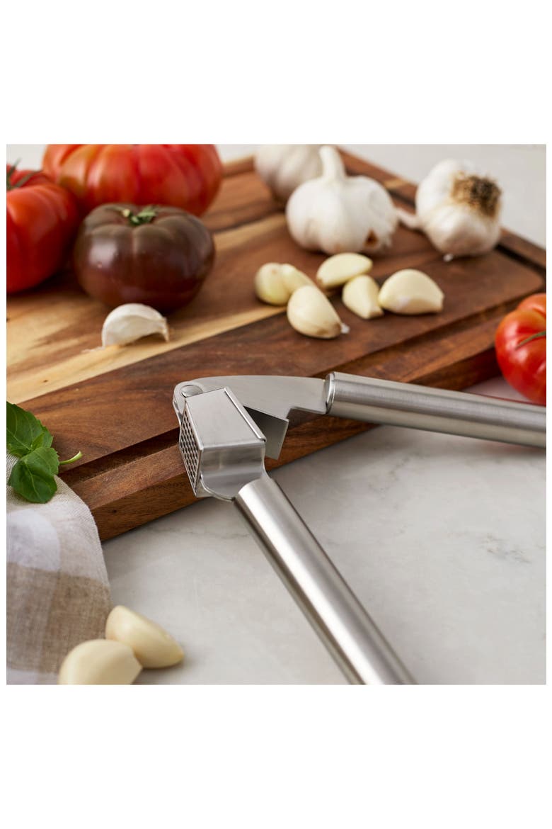 Stainless Steel Garlic Press, Alternate, color, STAINLESS STEEL