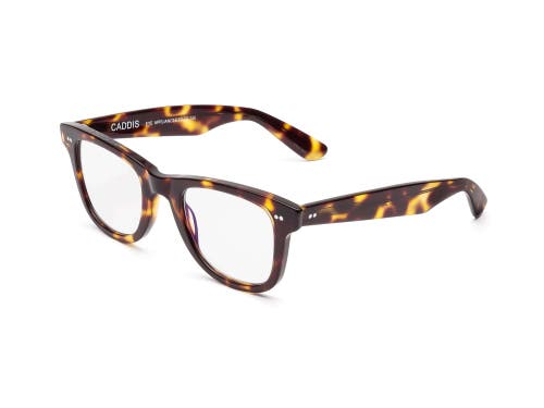 Caddis Porgy Backstage | Reading Glasses