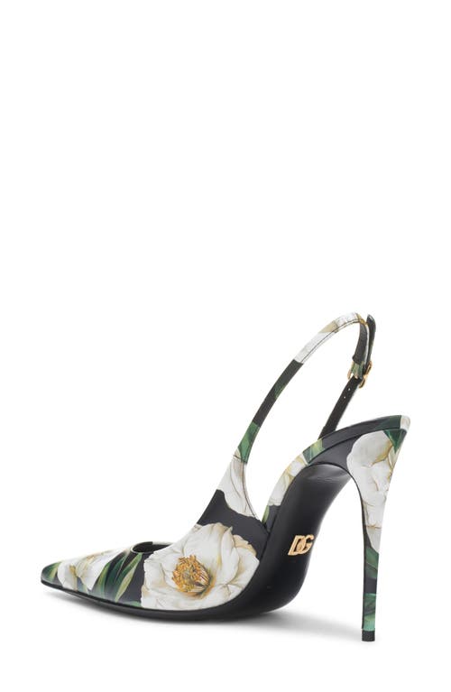 Dolce & Gabbana Printed Leather Slingback Pumps In Gardenia F.nero