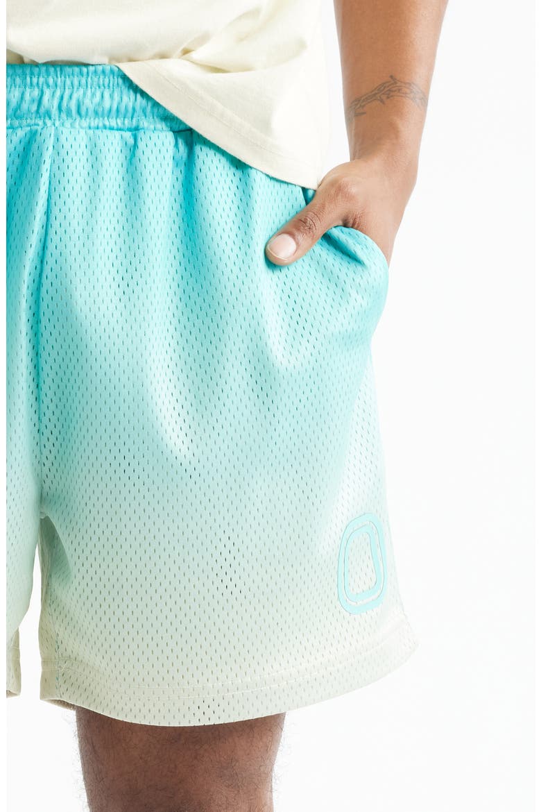 Summer Mesh Shorts, Alternate, color, BLUE