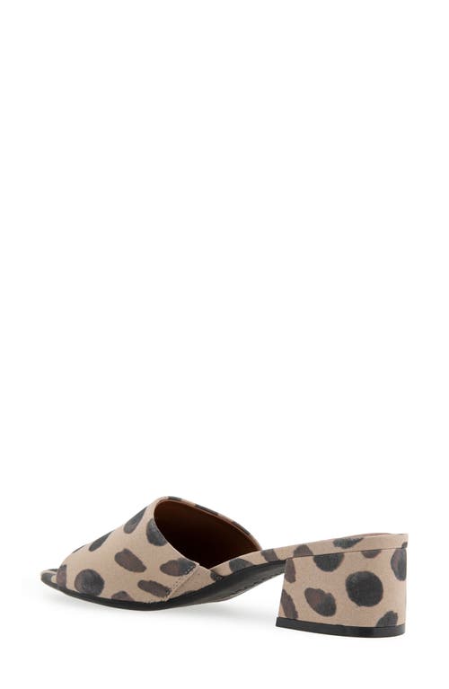 AEROSOLES AEROSOLES COMO SLIDE SANDAL