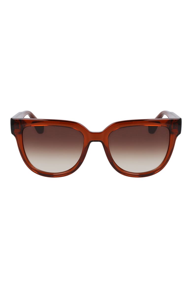 Le Pliage 52mm Round Sunglasses, Main, color, TRANSPARENT RUST