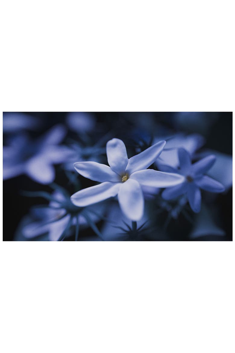 Blue Talisman Extrait de Parfum, Alternate, color, NO COLOR