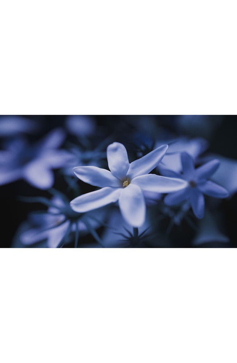 EX NIHILO Blue Talisman Extrait de Parfum, Alternate, color, 