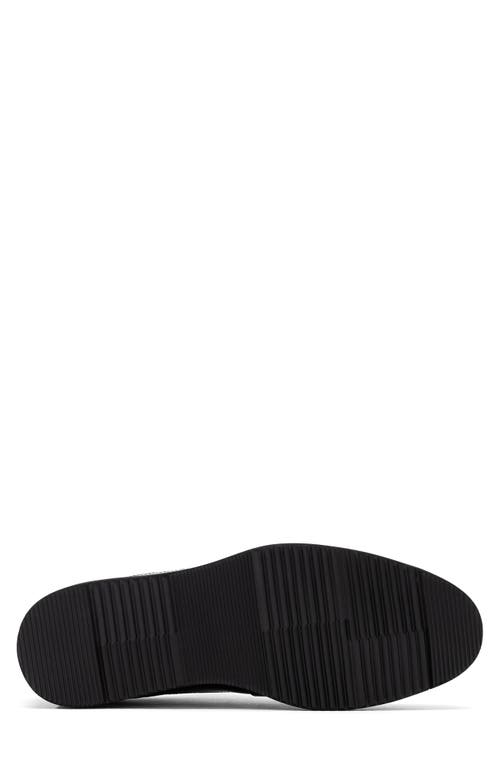 Marc Nolan Alexander Wingtip Derby