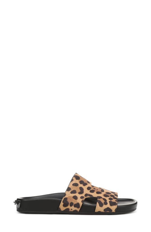 Shop Franco Sarto Britt Leopard Print Slide Sandal In Brown
