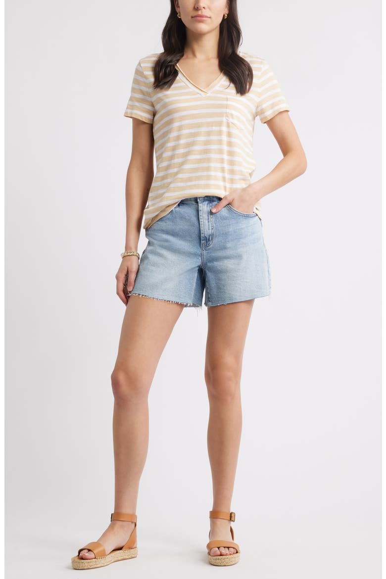 Cotton & Modal V-Neck T-Shirt, Alternate, color, TAN S- WHITE ASHER STRIPE